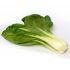 Pak Choi