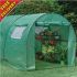Polytunnel Greenhouse