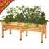VegTrug
