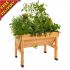 VegTrug