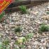Beach Cobbles