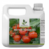 Tomato Feed