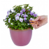 Dead Head Snips Easy Deadheading & Pruning Tool