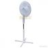 Electric Fan