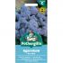 Ageratum Seeds