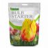 Bulb Starter