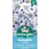 Nemophila Seeds