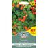 TOMATO Cherry Blast F1 Mr Fothergills Seeds