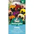 PANSY Swiss Giants Mix Mr Fothergills Seeds