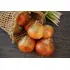 Radar Onion Sets