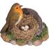 Robin Standing on Rusty