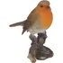 Perched Robin