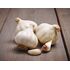 Garlic Bulbs Messidrome (3 Pack)