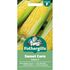 SWEET CORN Galaxy F1 Mr Fothergills Seeds