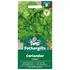 CORIANDER Calypso Mr Fothergills