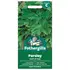 PARSLEY Giant of Italy Mr Fothergills Seeds