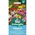 ECHINACEA Dreamcoat Mr Fothergills Seeds