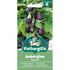 AUBERGINE Baby Jack Mr Fothergills Seeds