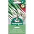 ONION (Spring) Guardsman Mr Fothergills Seeds
