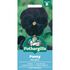 PANSY Beaconsfield Mr Fothergills Seeds