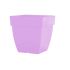 Square Flower Pot
