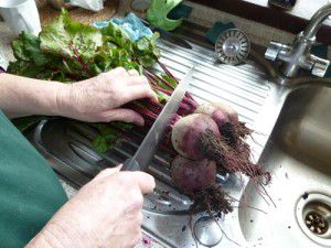 Cutting the Stalks off the Betroot Cutting the Stalks off the Betroot