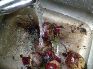 Give the Beetroot a Good Wash